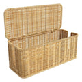 Axyaa Rattan Cable Management Box: Hide Power Strip, Router, and Cords with Style.
