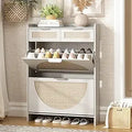 Axyaa Rattan Shoe Cabinet: 2 Flip-Top Drawers, 2 Extra Drawers, Compact Entrance Organizer