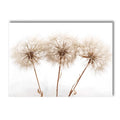 Axyaa Beige Dandelion Bunny Tail Grass Canvas Art Print Nordic Flower Poster