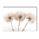 Axyaa Beige Dandelion Bunny Tail Grass Canvas Art Print Nordic Flower Poster