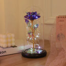 Axyaa Eternal Rose Night Light - LED Beauty and the Beast Magic Flower Lamp