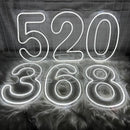 Axyaa Neon Numbers 0-9 Light Sign: Personalized Wall Art for Home Decor, Celebrations