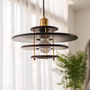 Axyaa Chandelier Pendant Light for Modern Dining Room and Home Decor