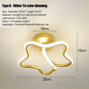 Axyaa 3 Color LED Ceiling Lamp: Modern Styles for Hallway, Bedroom, Living Room