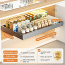 Axyaa Retractable Spice Drawer Organizer with Slide Rails - Cabinet Storage Rack