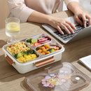 Axyaa Stainless Steel Bento Lunchbox with Compartments for Adults and Kids