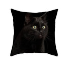 Axyaa Black Cat Pillowcases - Cute Kitty Design for Animal Lovers