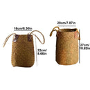 Axyaa Grass Woven Flower Basket: Universal Indoor Succulent Organizer