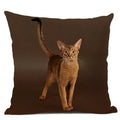 Axyaa Cat Pattern Cushion Cover 45x45cm Linen Pillowcase for Home Sofa Art Decor