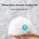 Axyaa Luxe Goose Down Quilt | Fluffy Queen King Size Duvet with Cotton Shell