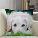 Axyaa Golden Retriever Dog Sofa Pillowcase for home decor