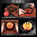 Axyaa Stainless Steel Apple Cutter Fruit Corer Divider Chopper Pitter Kitchen Tool