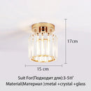 Axyaa Glass LED Ceiling Light for Home Decoration