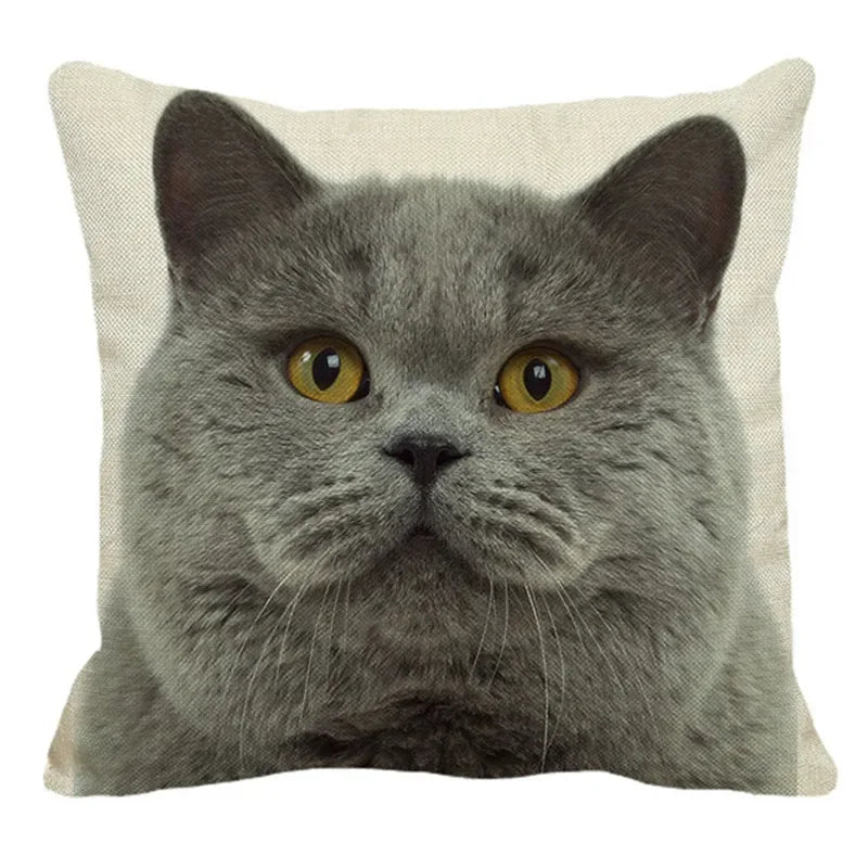 Axyaa British Shorthair Cat Pillow Cover 45X45cm Square Cushion