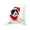 Axyaa Christmas Hat Pet Printed Cushion Cover 45x45cm