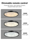 Axyaa Full Spectrum LED Ceiling Lamp for Living Room Bedroom, Nordic Modern Design
