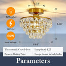 Axyaa Black K9 Crystal Ceiling Light E27 LED Bulbs Modern Chandelier for Home Hotel