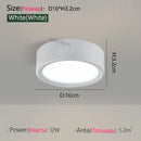 Axyaa LED Downlight Ceiling Lamp, Ultra Thin, Modern Design, Bedroom Living Room Lighting
