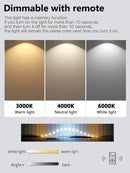 Axyaa LED Ceiling Lamp Modern Indoor Lighting for Home, Staircase, Kitchen, Dining Room