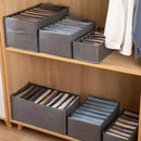 Axyaa Clothes & Pants Organizer Drawer Box for Wardrobe Storage Organizers
