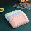 Axyaa Wheat Straw Melamine Plate Set for Healthy Dining
