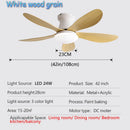 Axyaa Ceiling Fan Light Remote Control Small Living Room Dining Room 110V 220V
