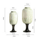 Axyaa Glass Vase with Dot Texture - Senior Art Bottle for Home Decoration