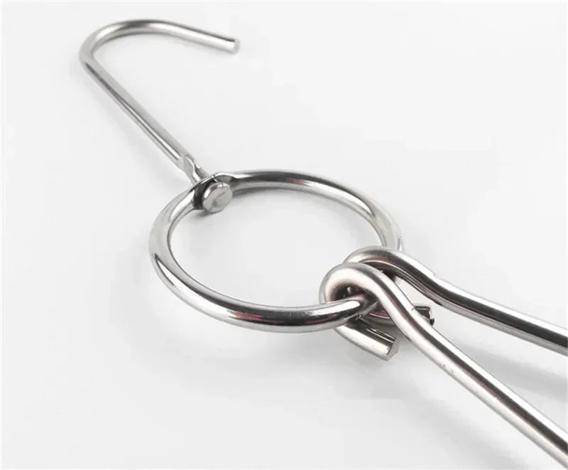 Axya Stainless Steel Meat Hooks for BBQ Roasts and Storage