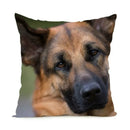 Axyaa German Shepherd Dog Polyester Pillowcase for Home & Office Decorateurs