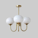 Axyaa Glass Chandelier Pendant Light for Elegant Living & Dining Room Decor