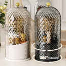 Axyaa Clear Rotating Birdcage Makeup Brush Holder with Lid