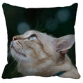 Axyaa Cute Cat Pillowcase Bubble Black  Kids Gift Decor Custom