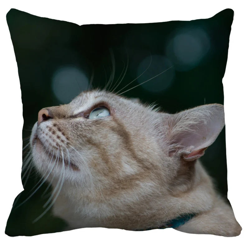 Axyaa Cute Cat Pillowcase Bubble Black  Kids Gift Decor Custom