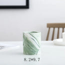 Axyaa Marble Ceramic Succulent Planter Set