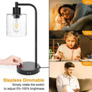 Axyaa Glass Table Lamp with USB Charging Port & Dimmer Switch