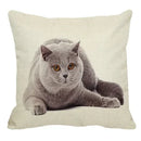 Axyaa British Shorthair Cat Pillow Cover 45X45cm Square Cushion