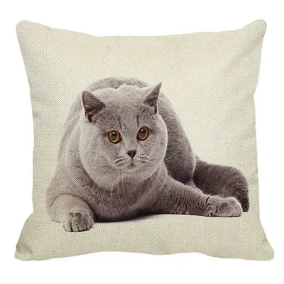 Axyaa British Shorthair Cat Pillow Cover 45X45cm Square Cushion
