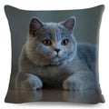 Axyaa Fold Ear Cat Pillow Covers - Set of 2 Cute Pet Pillowcases