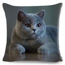 Axyaa Fold Ear Cat Pillow Covers - Set of 2 Cute Pet Pillowcases