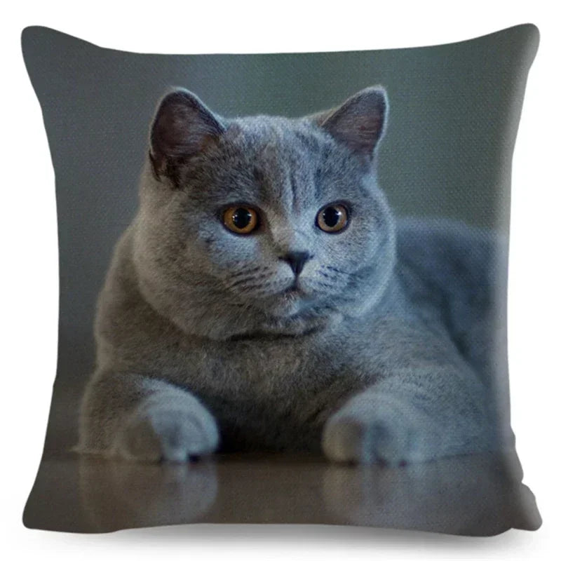Axyaa Fold Ear Cat Pillow Covers - Set of 2 Cute Pet Pillowcases