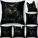 Axyaa  Black Cat Pillowcase  Decorative Square Cushion Cover 45*45cm