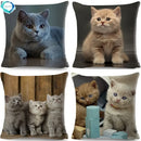 Cute Cat Print Fold Ear Pet Pillowcase for Cozy Home Decor by Axyaa