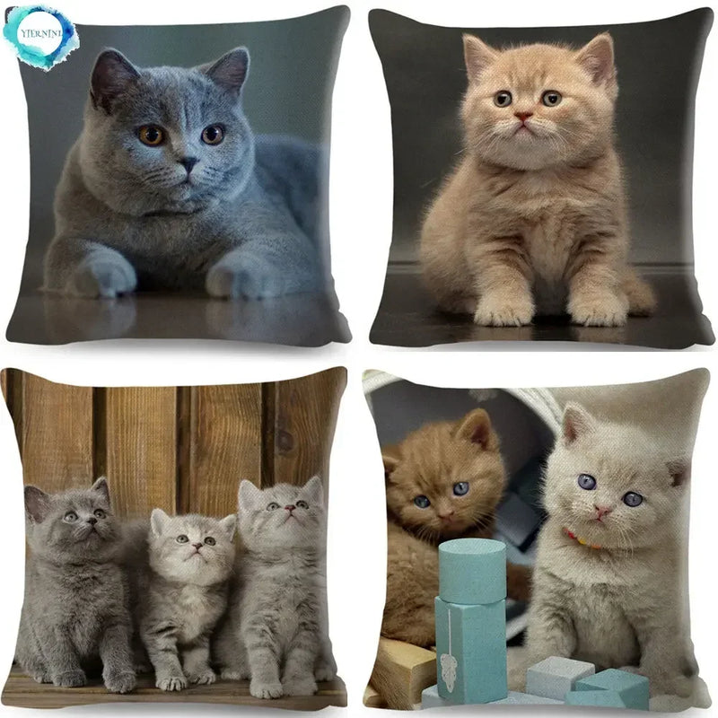 Cute Cat Print Fold Ear Pet Pillowcase for Cozy Home Decor by Axyaa