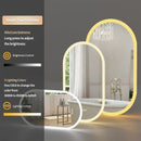Axyaa Oval LED Bathroom Mirror 500x1000mm with Anti-fog, 3 Colors, Dimmable Lighting