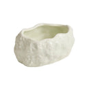 Axyaa Stone Pattern Dan Ceramic Plate Set