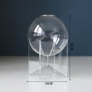 Axyaa Acrylic Spherical Vase for Minimalist Table Decoration and Aesthetic Room Decor