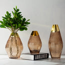 Axyaa Transparent Glass Vase Flower Arrangement Home Decor Accessory