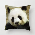 Axyaa Panda Print Polyester Cushion Cover - 45x45cm
