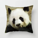 Axyaa Panda Print Polyester Cushion Cover - 45x45cm