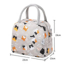 Axyaa Cartoon Lunch Bag Insulated Thermal Bento Box Tote for Kids & Picnics